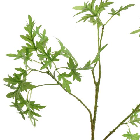 MUGWORT LEAF 75CM GREEN
