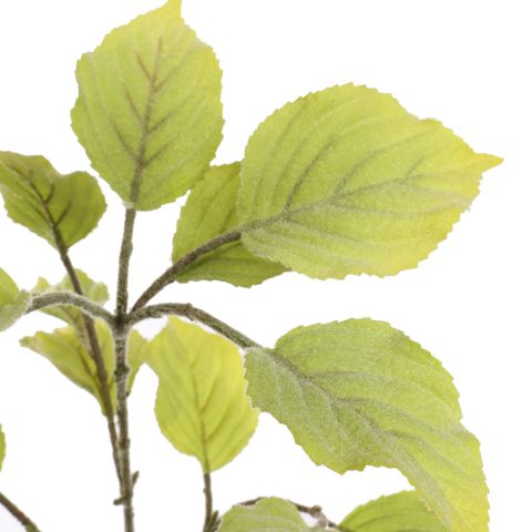FLOCKED PERILLA LEAF 80CM LIGHT GREEN