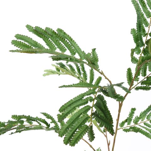FLAME TREE LEAF 135CM GREEN