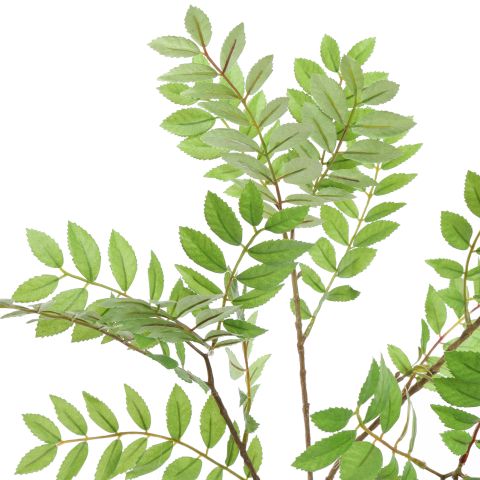 SORBUS LEAF SPRAY 115CM GREEN