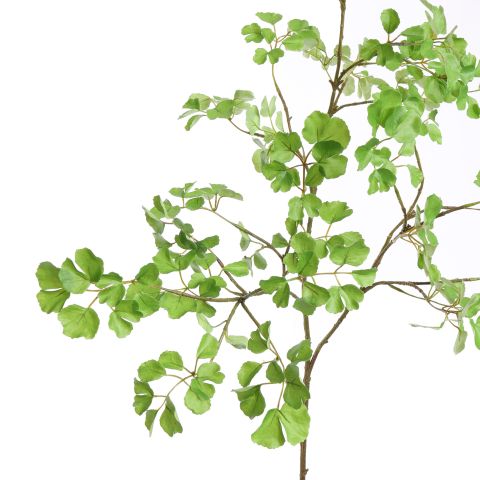 LARGE CELERY LEAF SPRAY 160CM GREEN
