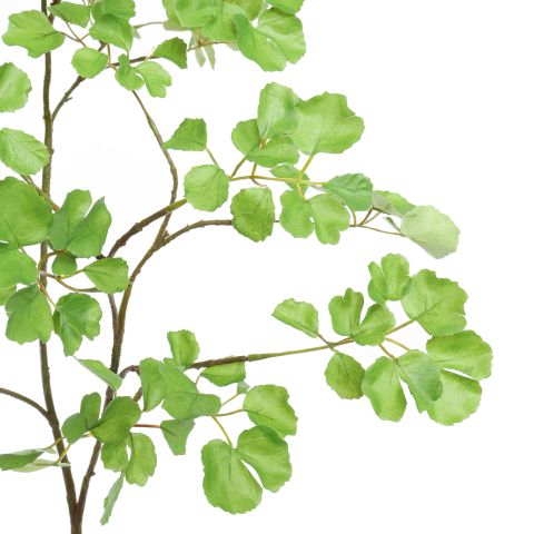 LARGE CELERY LEAF SPRAY 160CM GREEN