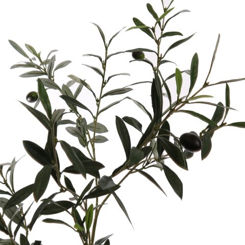 FR OLIVE SPRAY 110CM GREEN