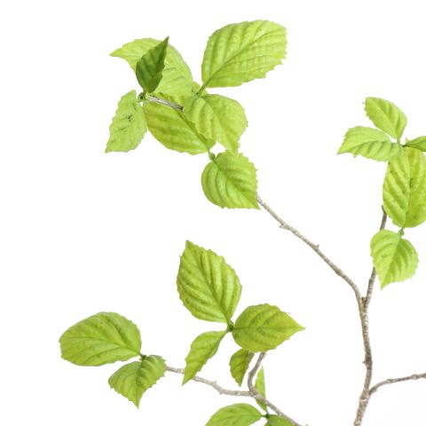 SPRING LEAF 113CM GREEN