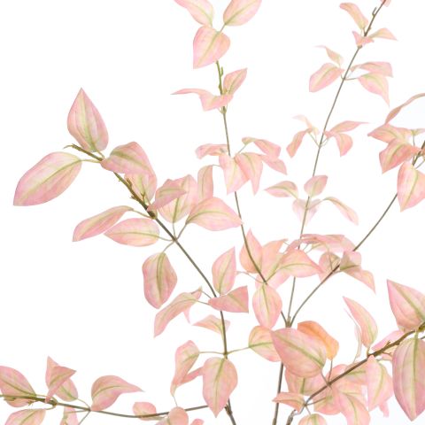 PHILO LEAF 91CM PINK
