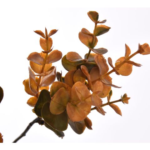 EUCALYPTUS 72CM OCRE