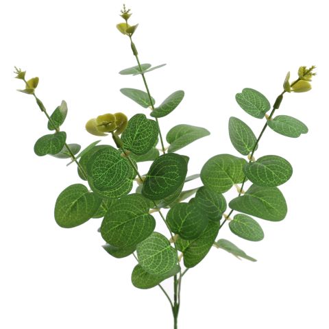 EUCALYPTUS 60CM GREEN