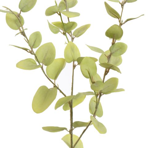 PASTEL EUCALYPTUS 80CM MINT