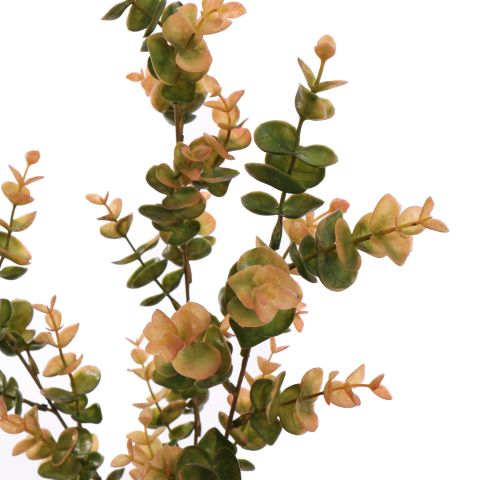 EUCALYPTUS 70CM PINK