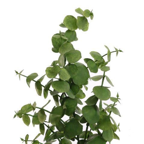 EUCALYPTUS 55CM GREEN