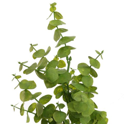 EUCALYPTUS 55CM LIGHT GREEN