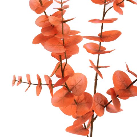 EUCALYPTUS 105CM CORAL