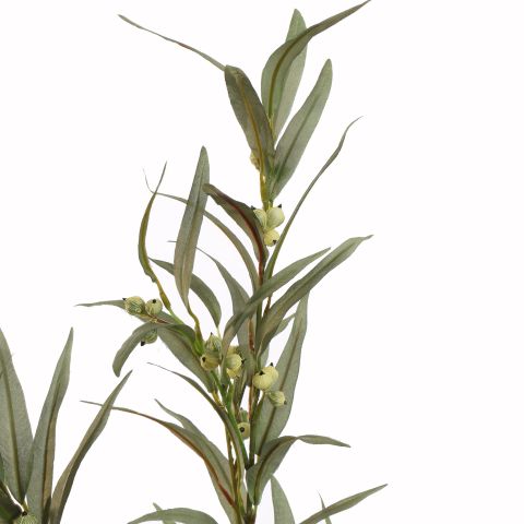 EUCALYTUS 88CM GREEN