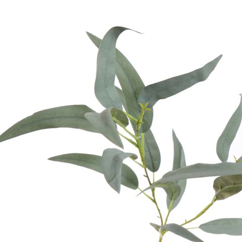 EUCALYPTUS SPRAY 60CM GREY