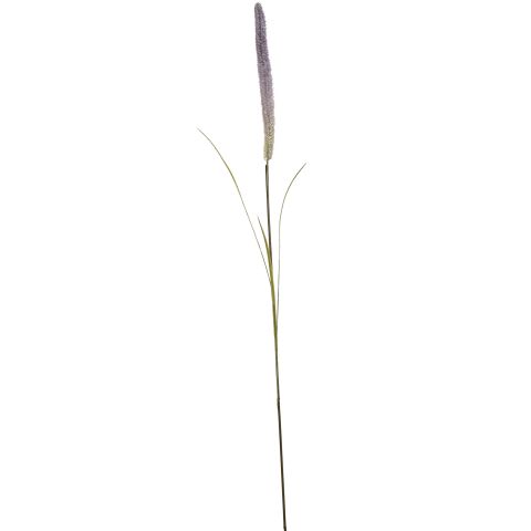 12240023-li_0.jpeg