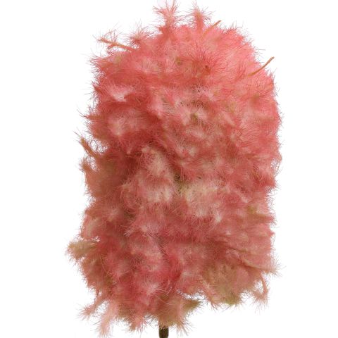 SMOKE TREE 95CM PINK