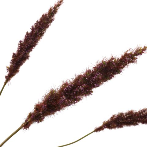 PLUM SPRAY 82CM BURGUNDY