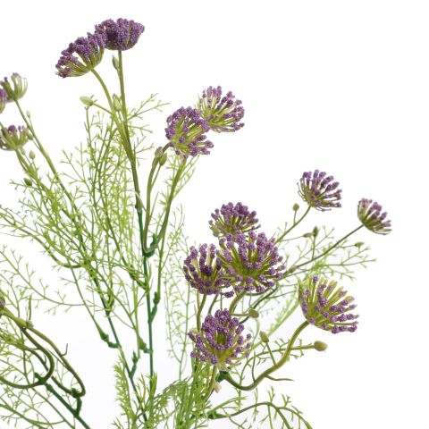 ANETHUM 60CM LAVENDER