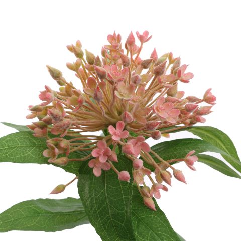 ALLIUM BALL 55CM PINK
