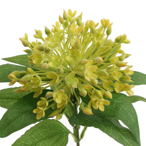 ALLIUM BALL 55CM YELLOW