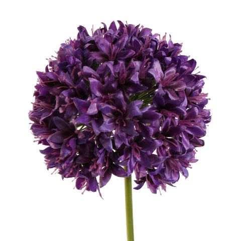 ALLIUM FLOWER 89CM PURPLE
