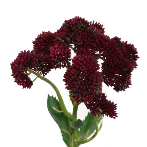 GARDEN SEDUM 57CM PURPLE
