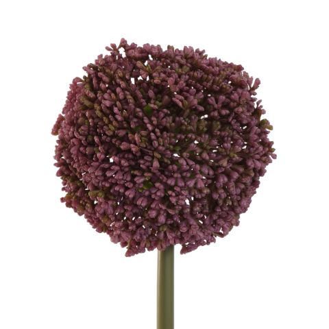 ALLIUM 75CM PURPLE