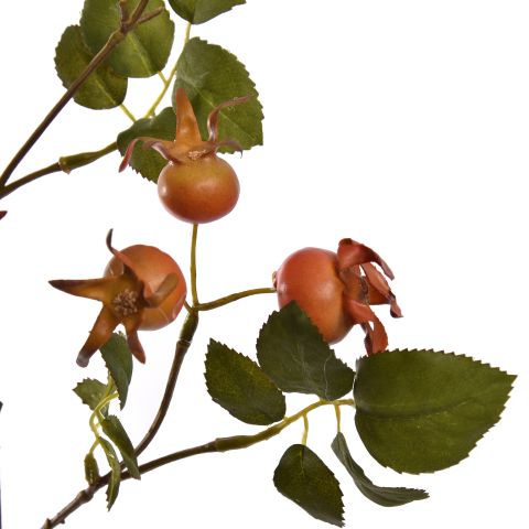 ROSEHIP SPRAY 68CM ORANGE