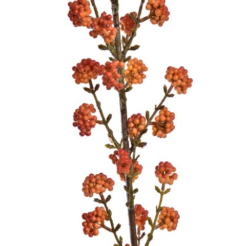 LARGE CALICARPA BRANCH 120CM ORANGE