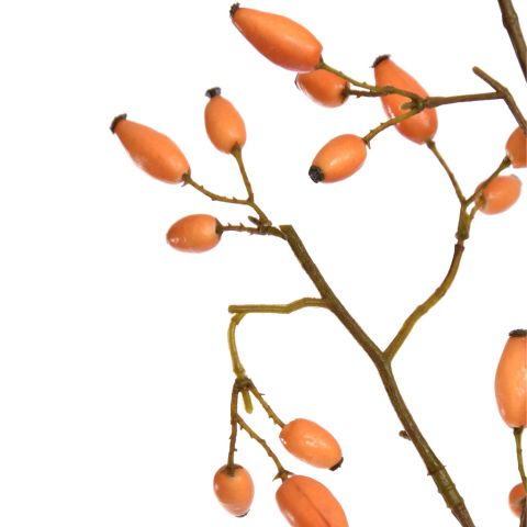 ROSEHIP BRANCH 110CM ORANGE