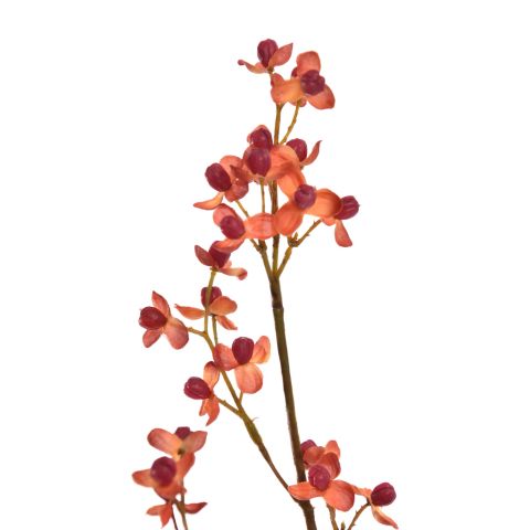 BITTER SWEET SPRAY 75CM ORANGE