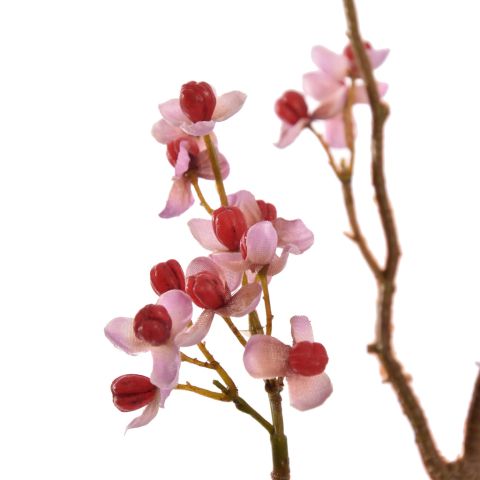 BITTER SWEET SPRAY 75CM PINK