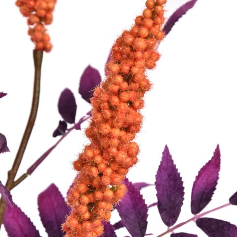 LARGE RHUS TYPINA BERRY 125CM ORANGE