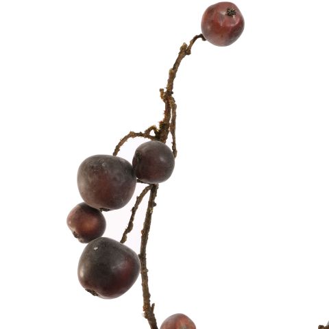 MINI APPLE SPRAY 80CM BROWN