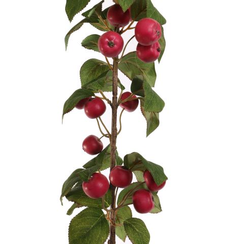 MINI APPLE 137CM BEAUTY