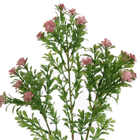BOXWOOD FLOWER 70CM PINK
