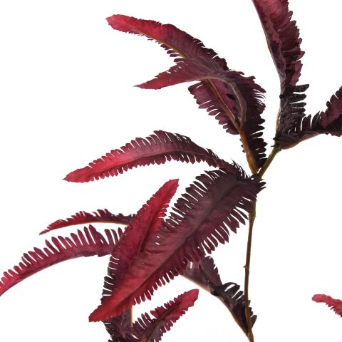 FERN LEAF BRANCH 80CM BURGUNDY