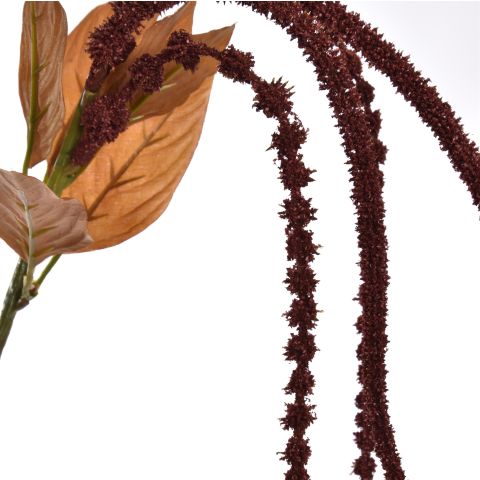 AMARANTHUS 60CM BROWN