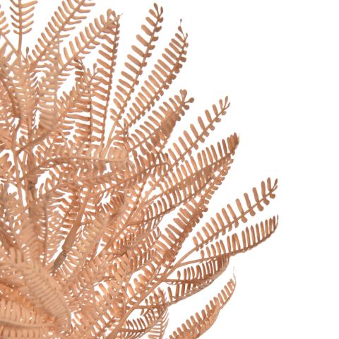 MIMOSA BRANCH 70CM PEACH