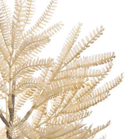 MIMOSA BRANCH 70CM WHITE