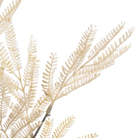 MIMOSA BRANCH 90CM WHITE