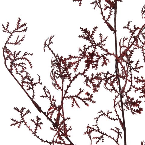 THIN CURLY BRANCH 95CM RED
