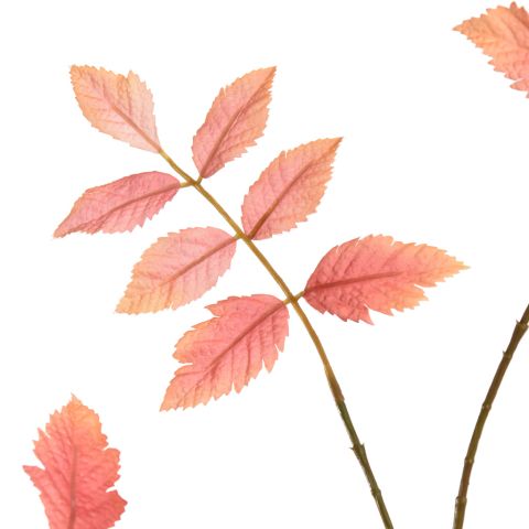 RHUS TYPHINA BRANCH 100CM PINK