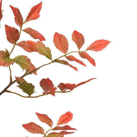 RHUS TYPHINA BRANCH 130CM GREEN RED