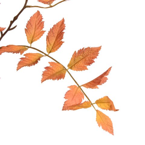 RHUS TYPHINA BRANCH 130CM ORANGE