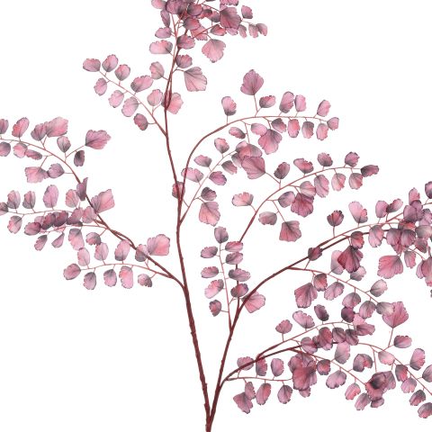 LARGE CELERY LEAF 130CM BURGUNDY