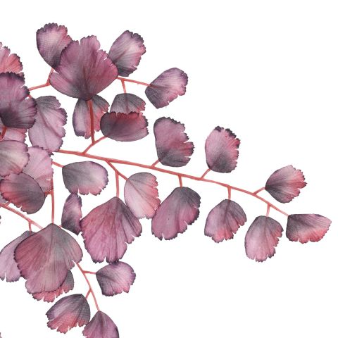 LARGE CELERY LEAF 130CM BURGUNDY