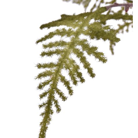 LARGE ASPARAGUS FLOCKED 115CM GREEN