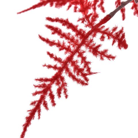LARGE ASPARAGUS FLOCKED 115CM RED