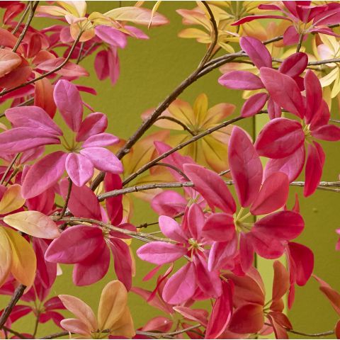 LARGE SCHEFFLERA LEAF 95CM BEAUTY